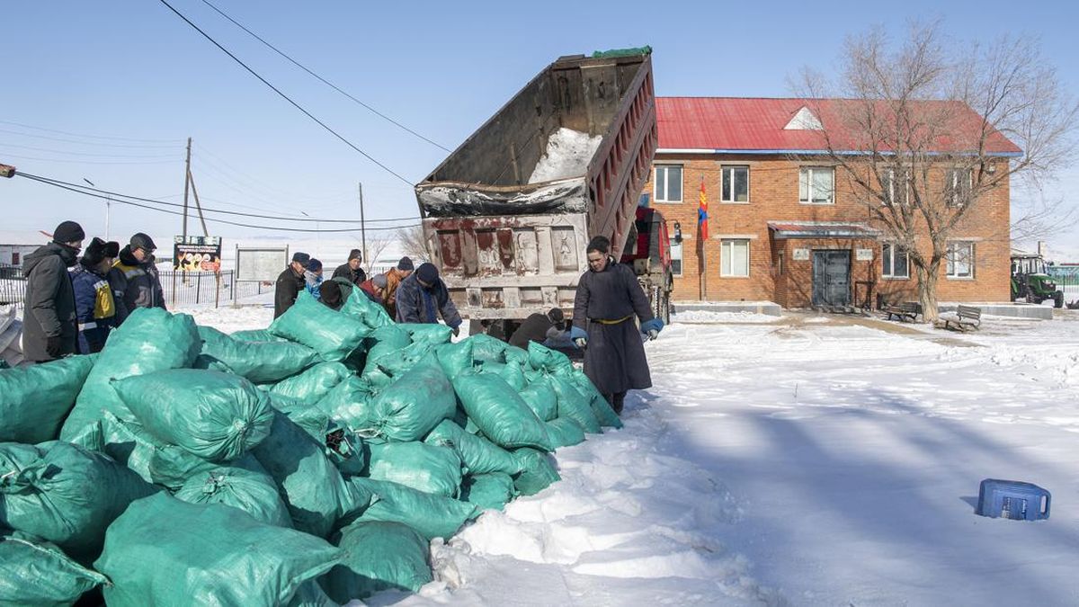 FOTO : Matinya Jutaan Ternak ulah Dzud Mongolia 